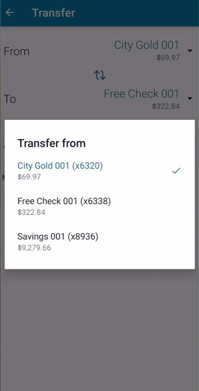 City to City Transfer: Screenshot 3